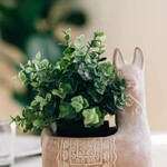 Ten Thousand Villages USA Llama Terracotta Planter, Bangladesh