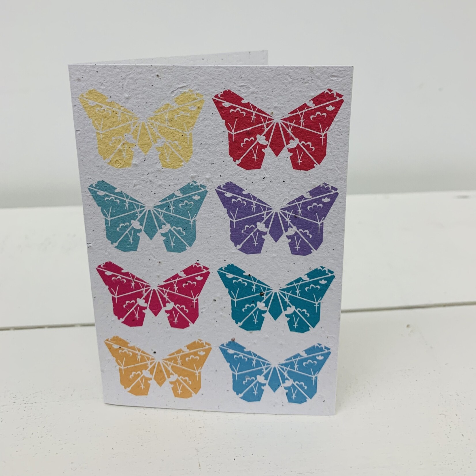 Butterflies - Growing Paper, South Africa