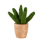 Ten Thousand Villages USA Handmade Mini Cotton Aloe Vera Plant, India