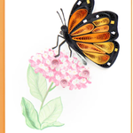 Kalyn Monarch Milkweed Butterfly Quilling Card Mini, Vietnam
