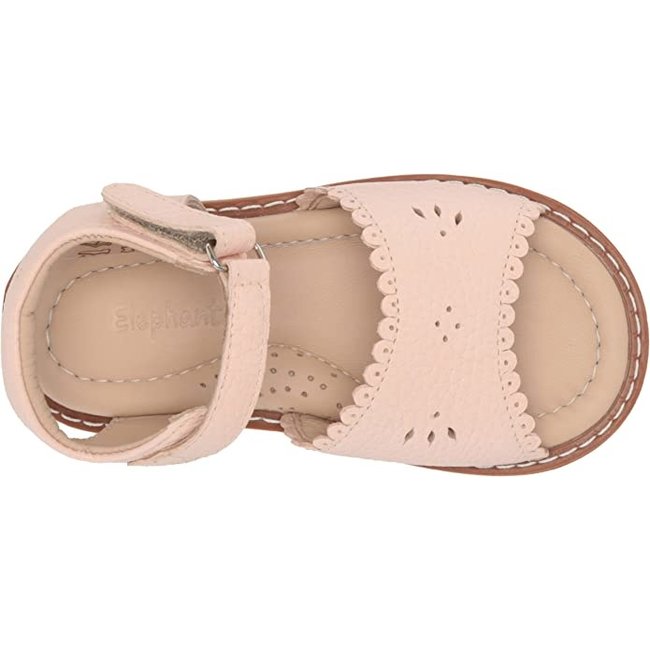 Elephantito Toddler Sandal w/Scallop