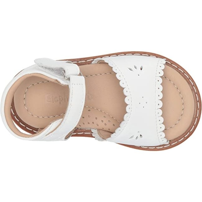 Elephantito Toddler Sandal w/Scallop