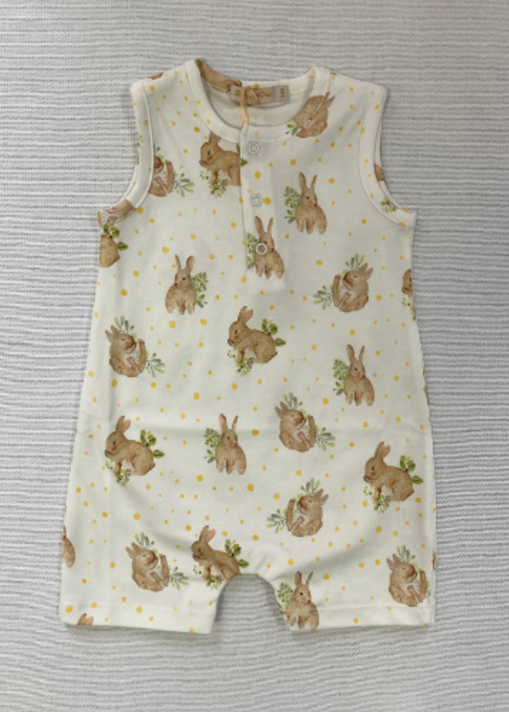 Baby Club Chic Adorable Bunnies Playsuit