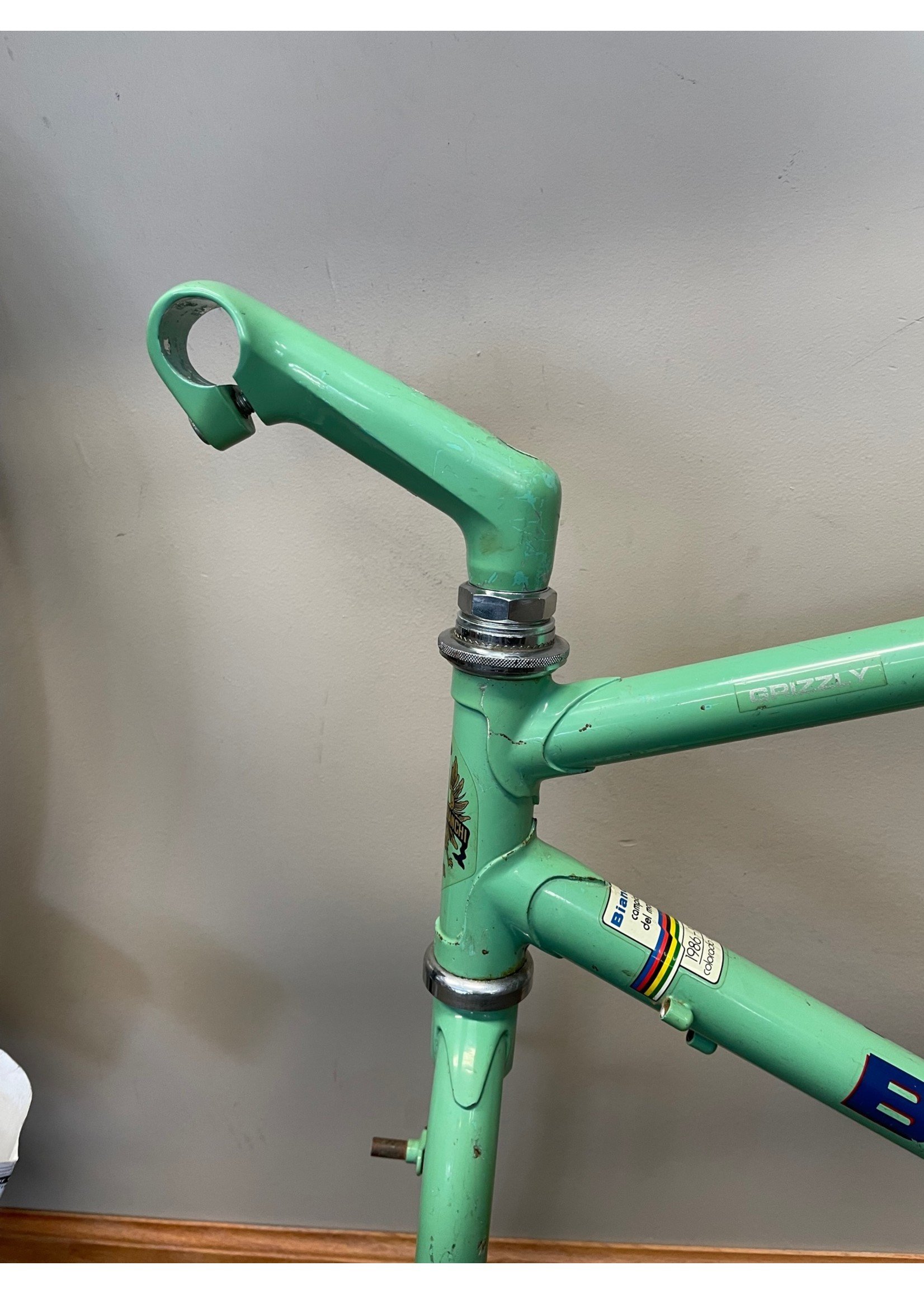 Bianchi 1986 19.5" Bianchi Grizzly Frameset