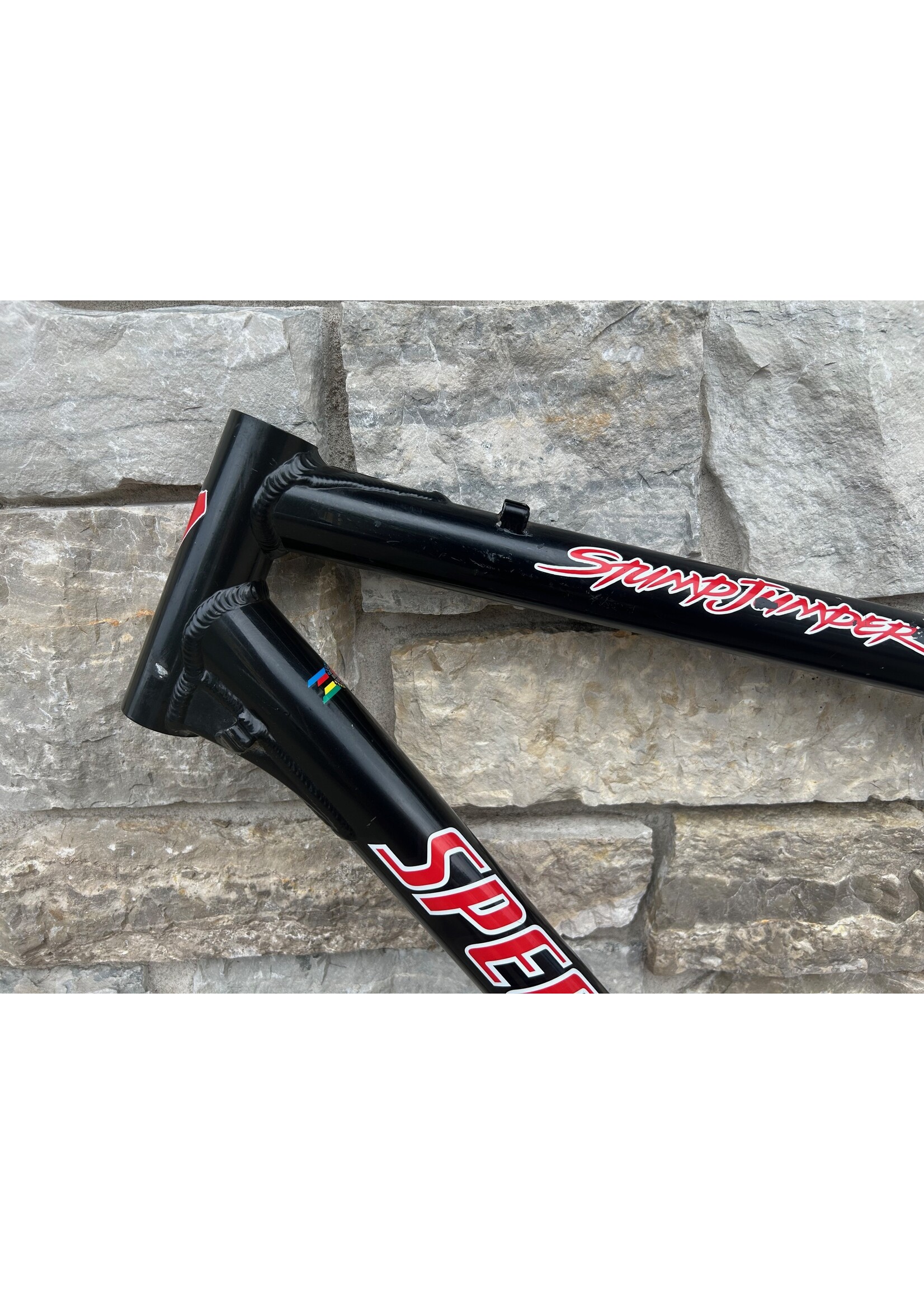 Specialized 1999 20.5" Specialized Stumpjumper Pro Frame