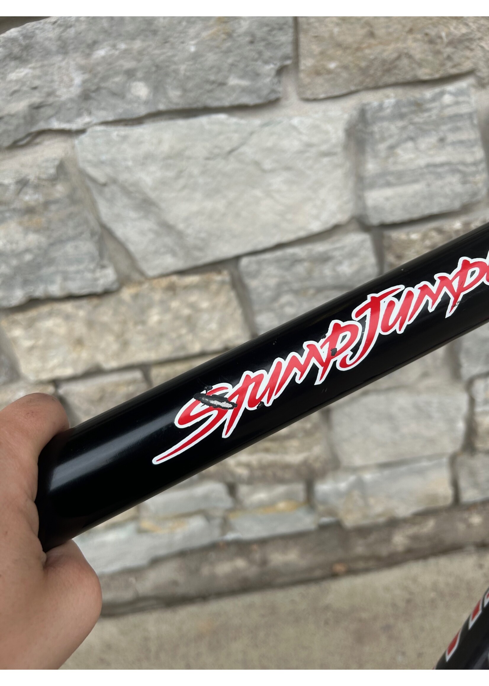 Specialized 1999 20.5" Specialized Stumpjumper Pro Frame