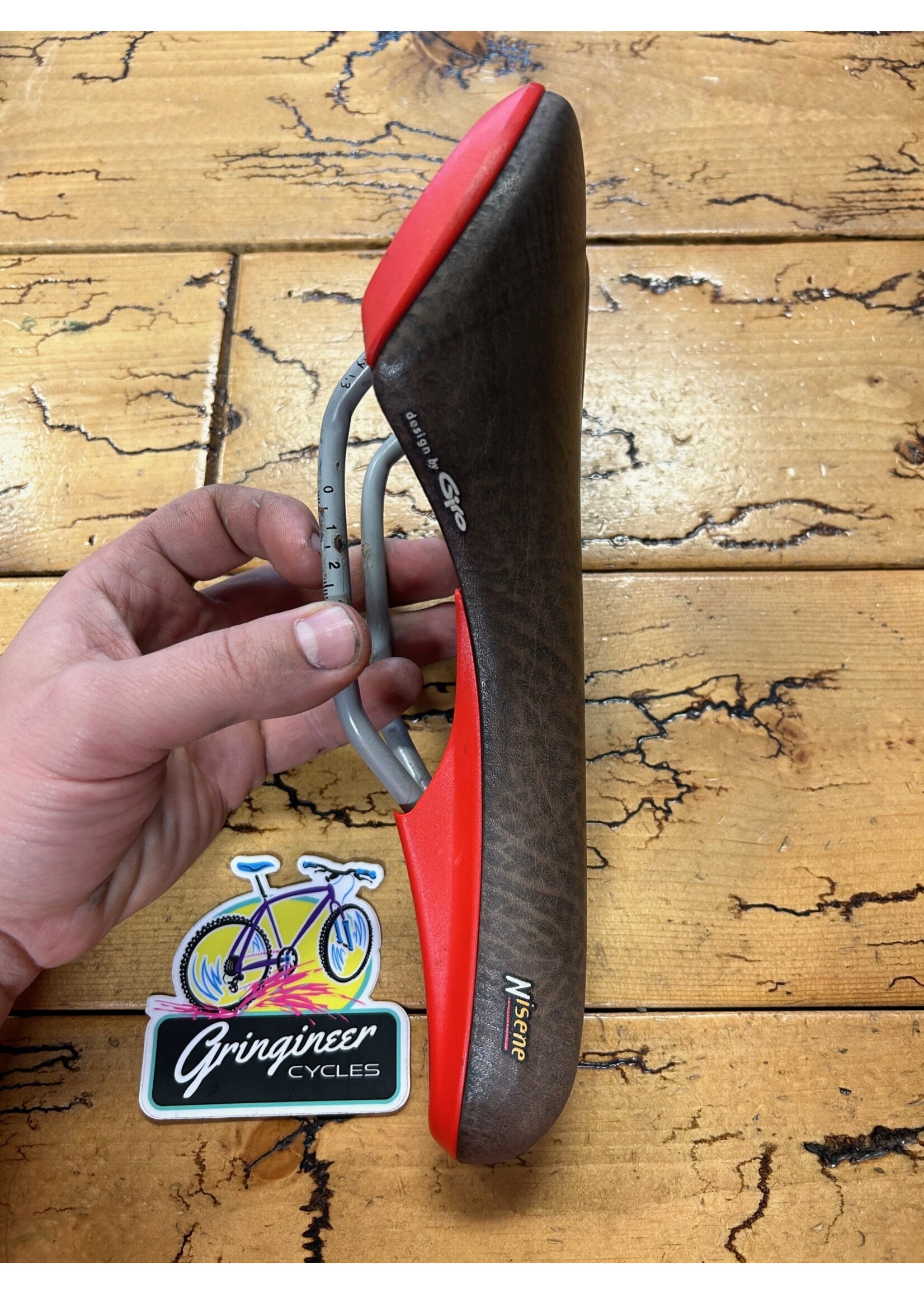 Fizik Fizik Nisene Saddle