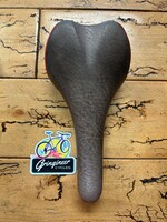 Fizik Fizik Nisene Saddle
