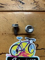 SRP Silver Aluminum Crank Bolts
