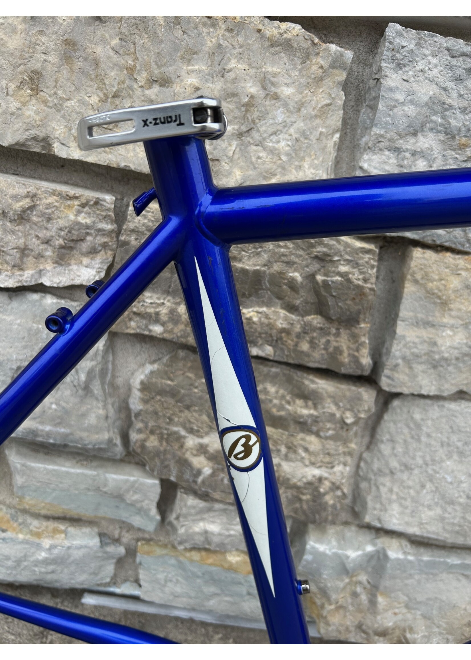 Breezer 1996 18.5" Breezer Thunder Frame