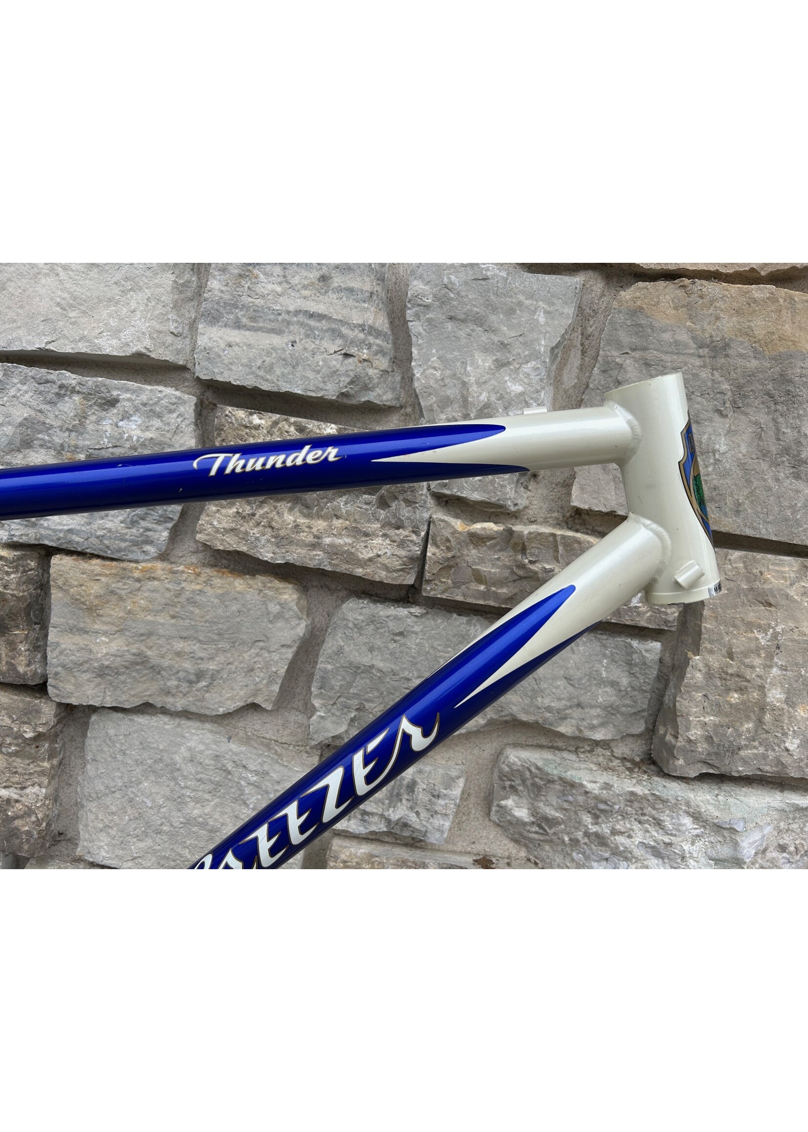 Breezer 1996 18.5" Breezer Thunder Frame