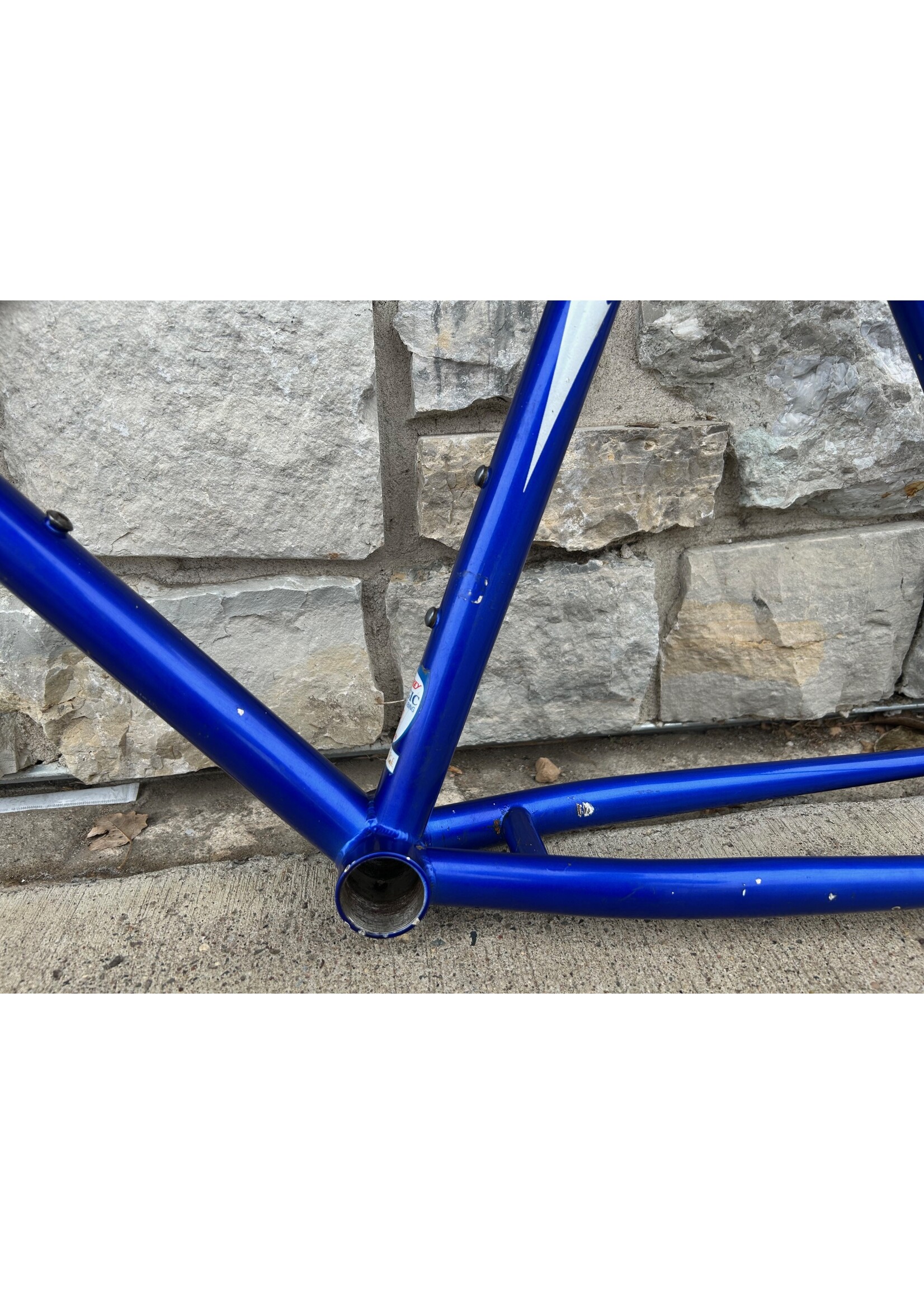Breezer 1991 19" Breezer Thunder Frame