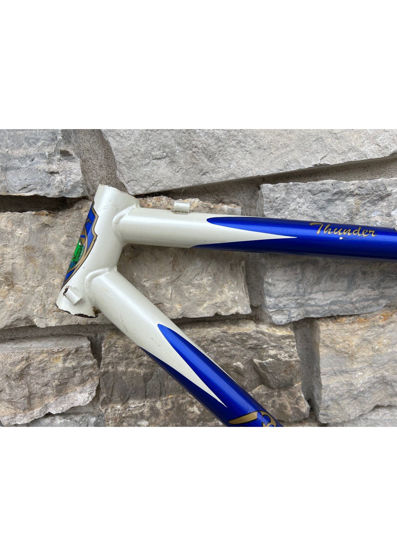 Breezer 1991 19" Breezer Thunder Frame