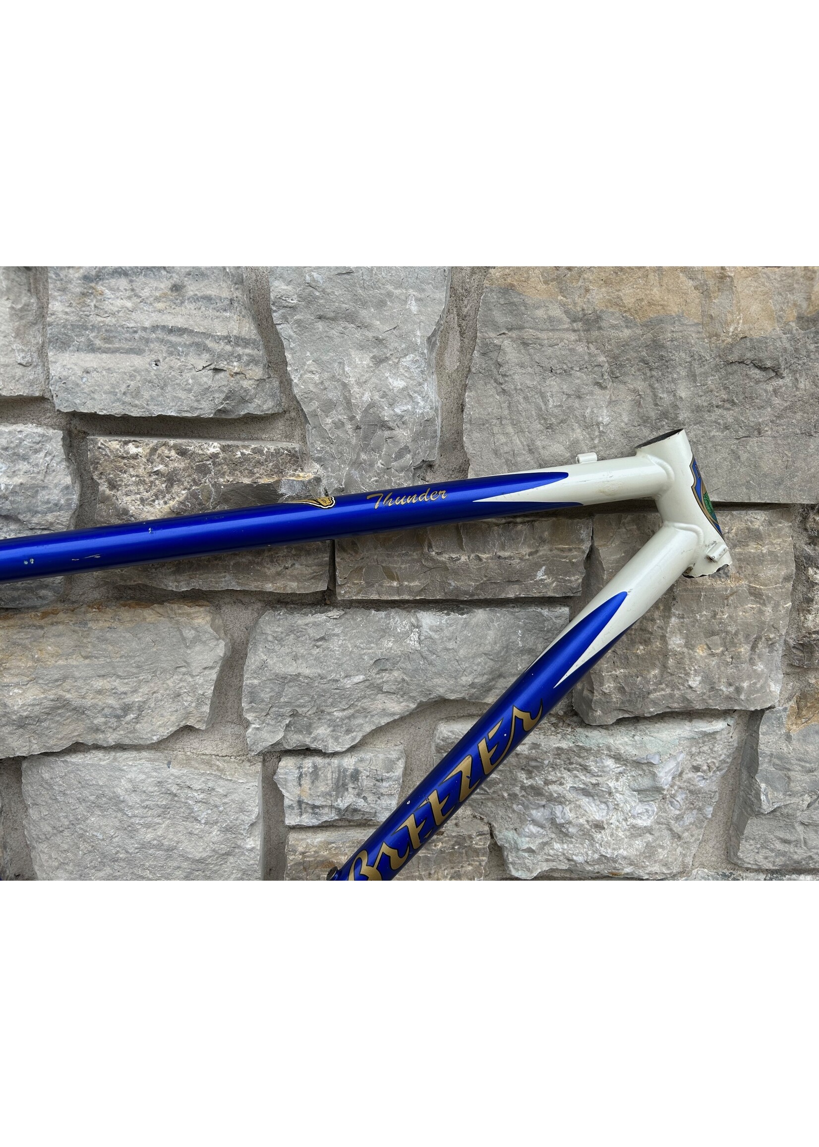 Breezer 1991 19" Breezer Thunder Frame