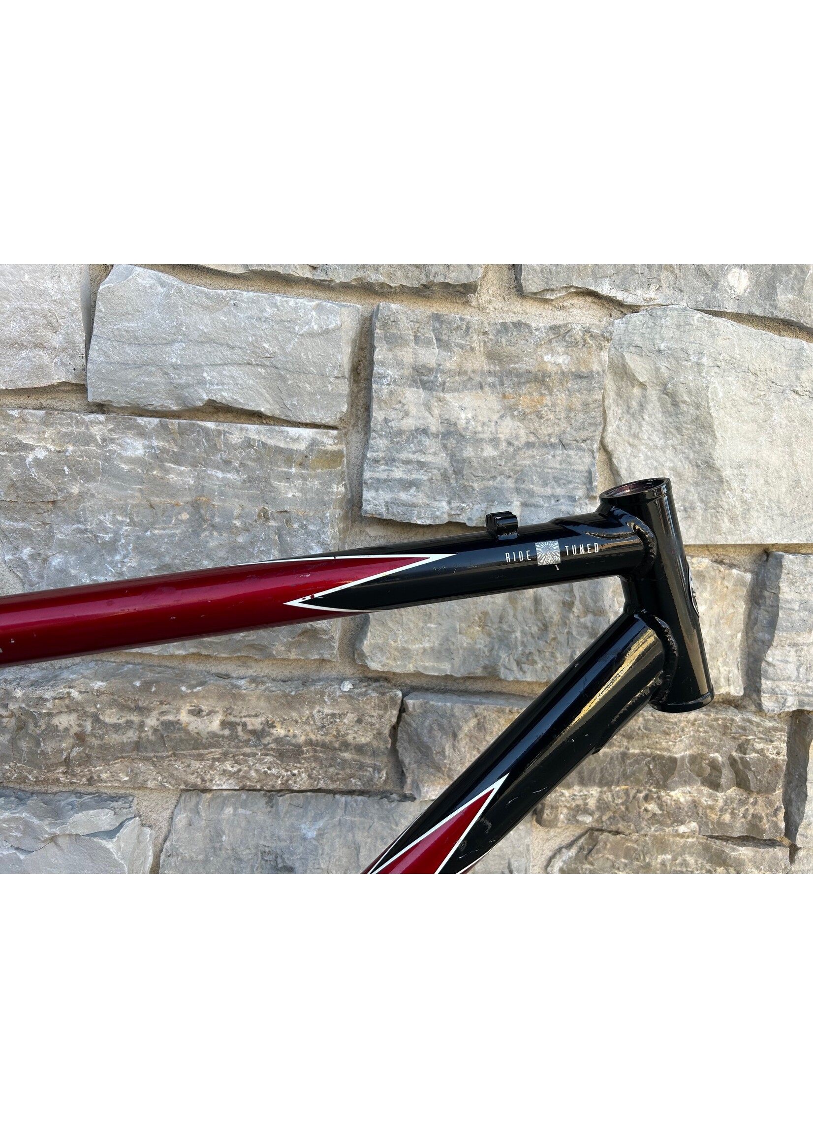 Schwinn 1998 21" Schwinn Moab 3 Frame