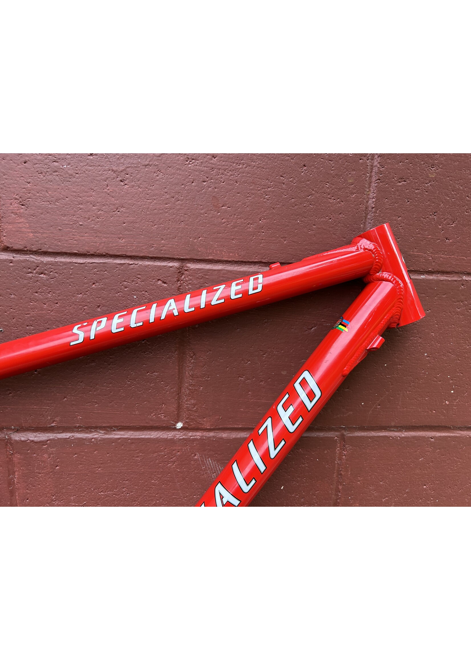 Specialized 1997 18" Specialized S Works M2 Team Frame