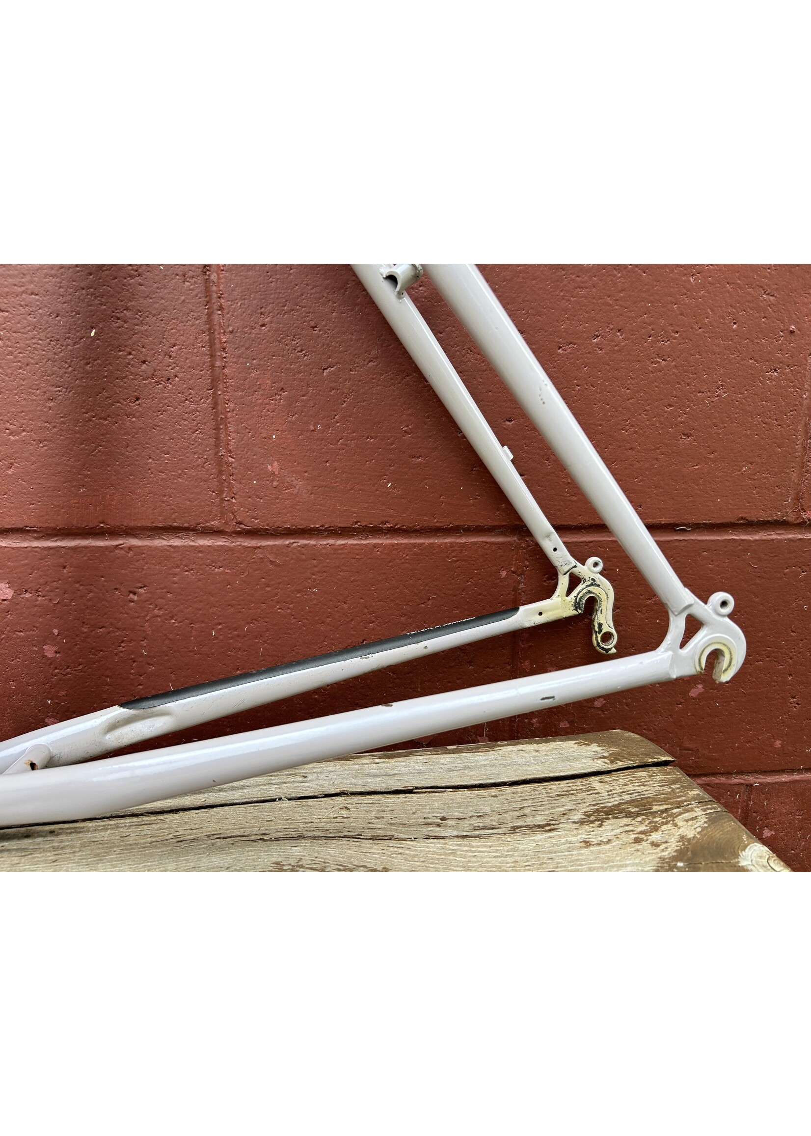 Fuji 1991 20.5" Fuji Professional Frameset