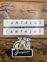 Rocky Mountain Rocky Mountain Tantalus Blue/ Gray Decals