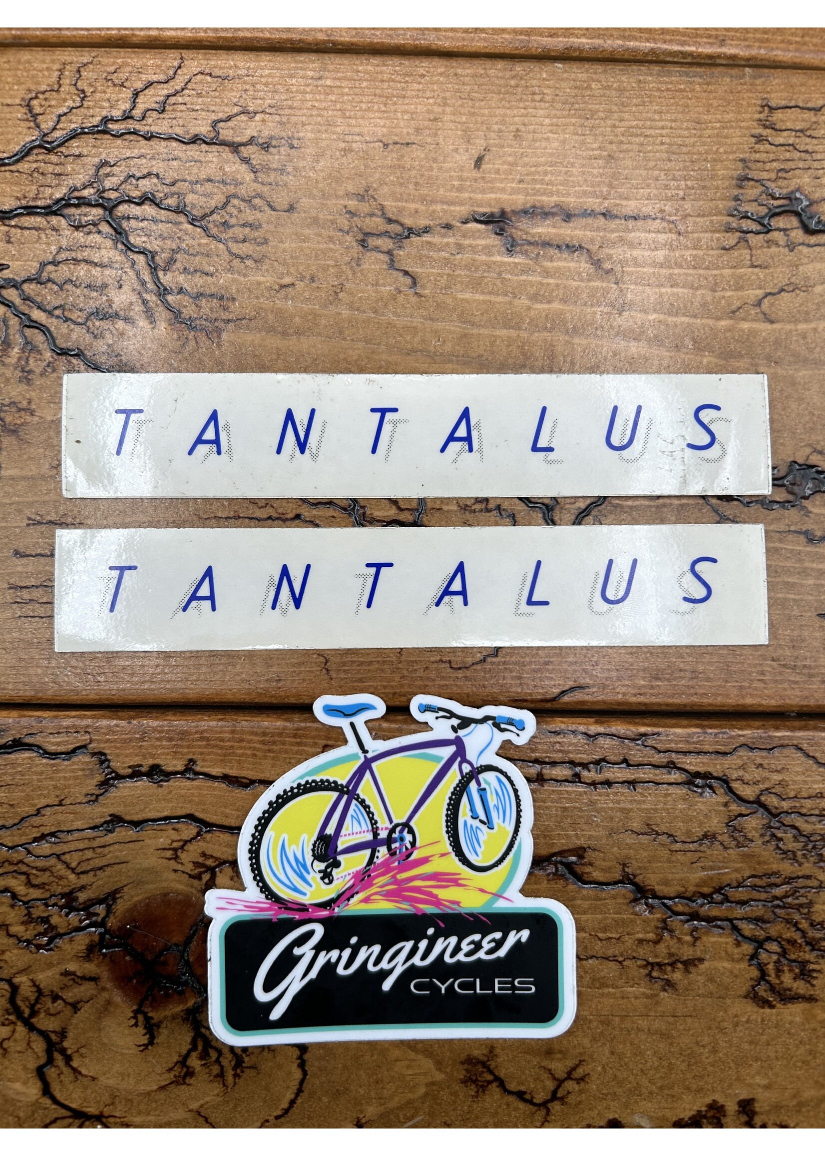 Rocky Mountain Rocky Mountain Tantalus Blue/ Gray Decals