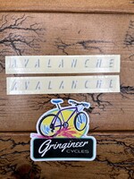 Rocky Mountain Rocky Mountain Avalanche White/Gray Decals