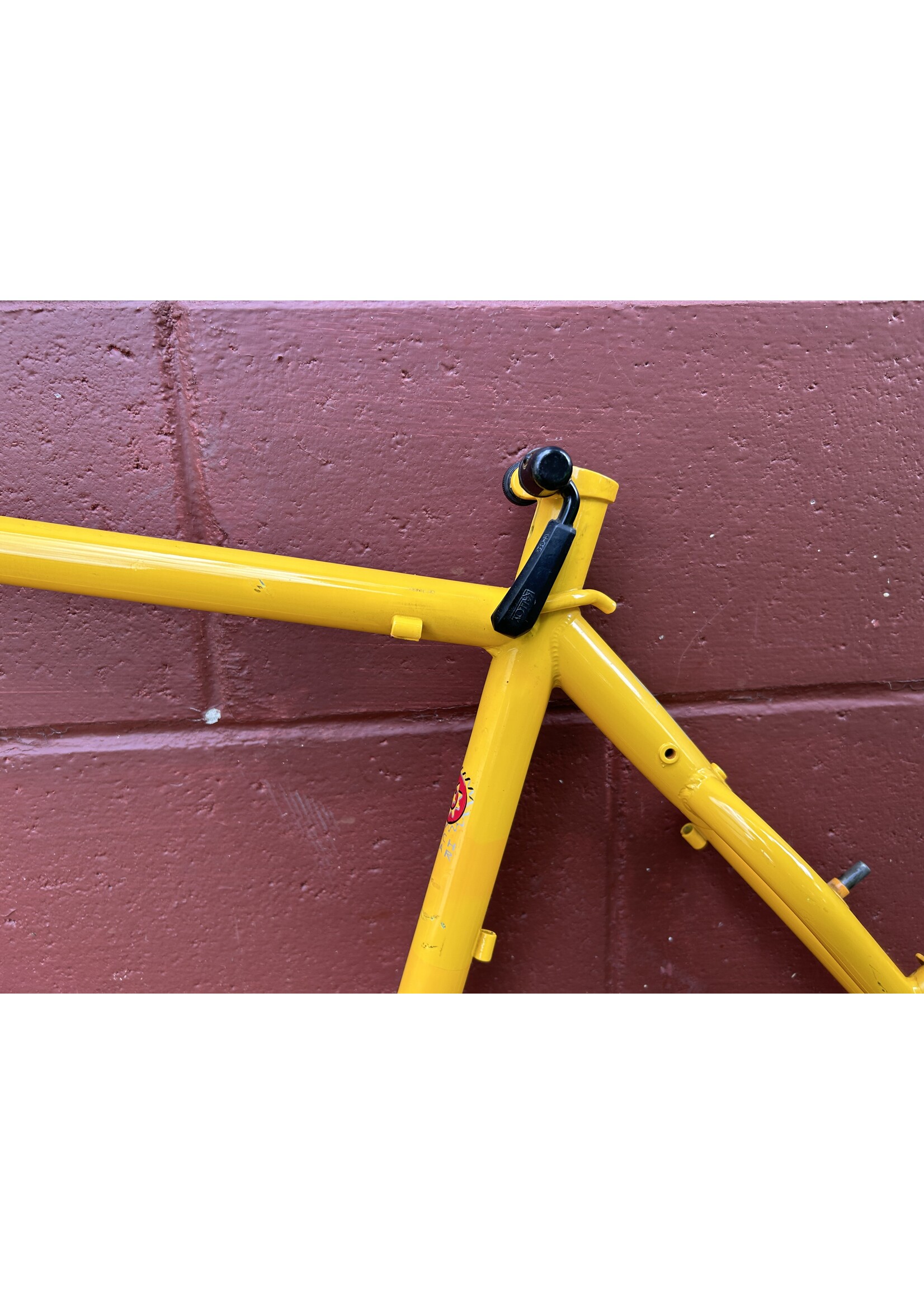 Schwinn 1995 19" Schwinn Moab S Frame