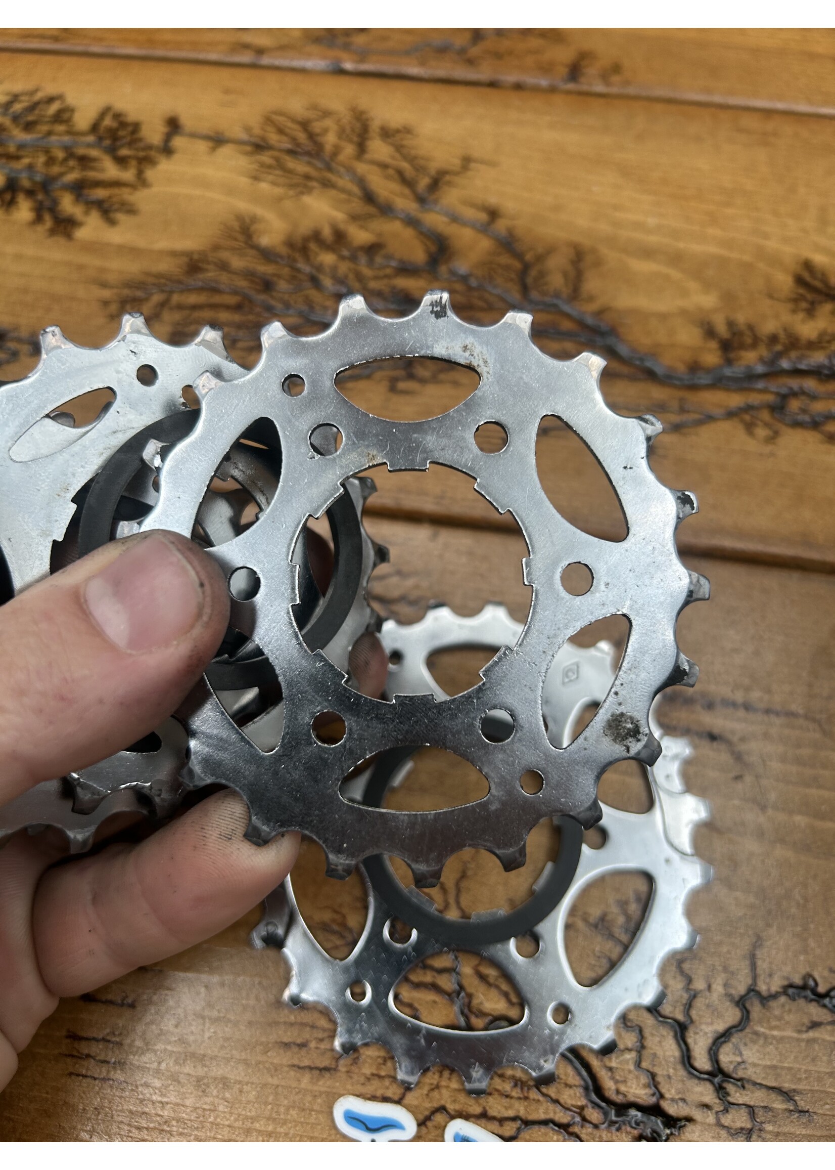 Campagnolo Campagnolo 13-23 8 Speed Cassette