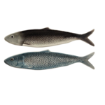 Creative Co-Op Hand Painted Sardine Plate