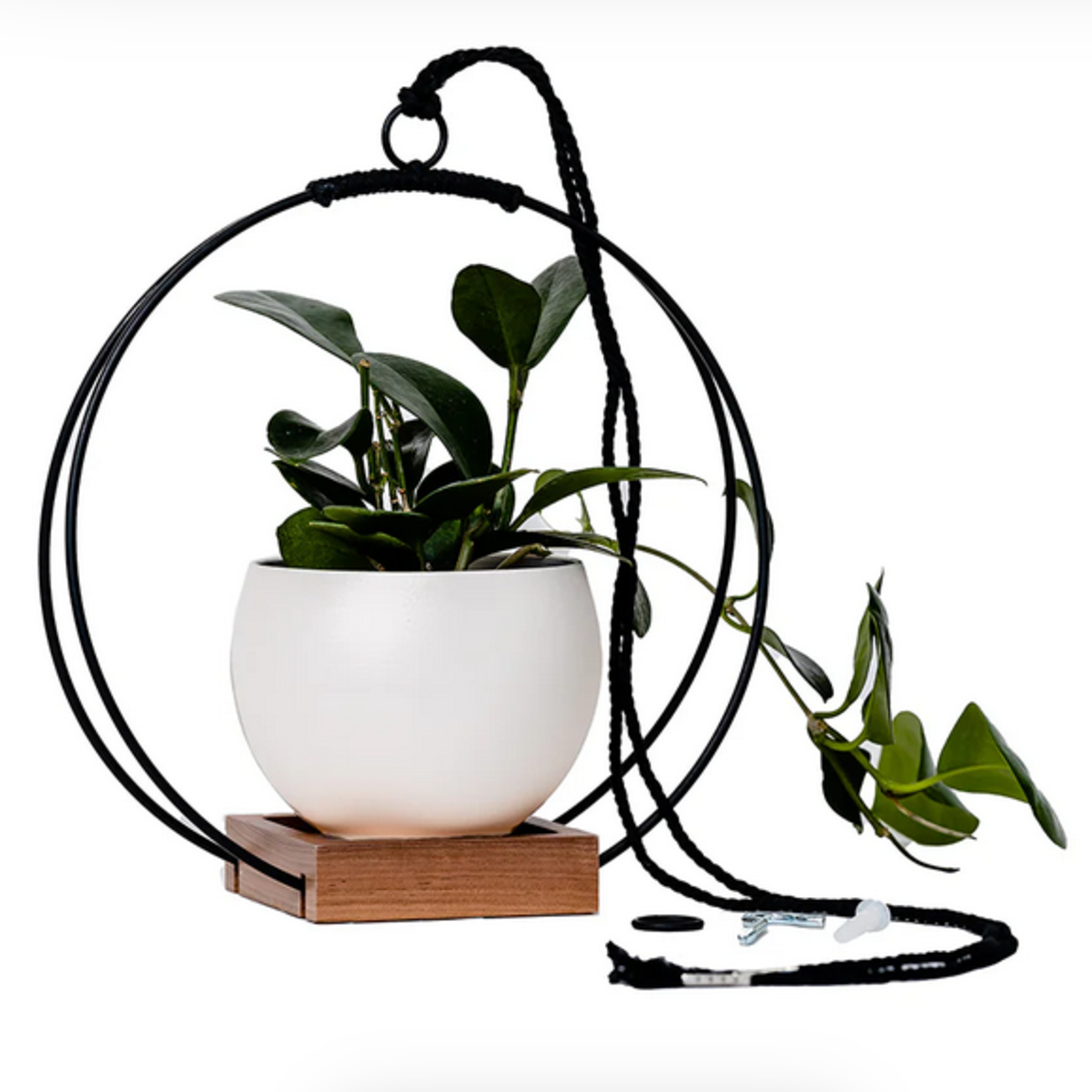 Braid and Wood Plant Hanger Dark and Stormy