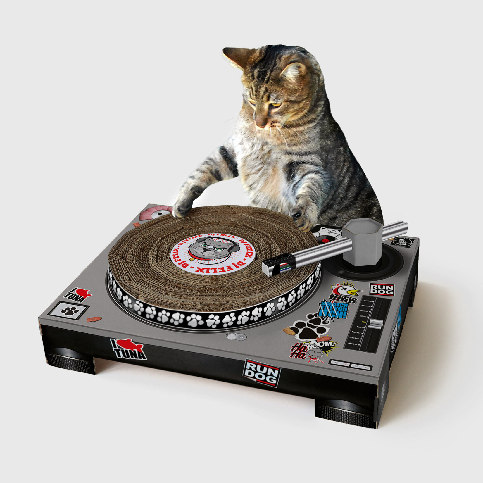 DJ Cat Scratcher