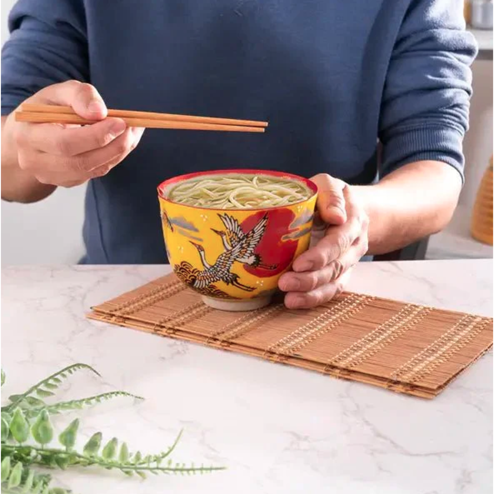 Urban Tokyo Japanese Crane 18oz Bowl With Chopsticks