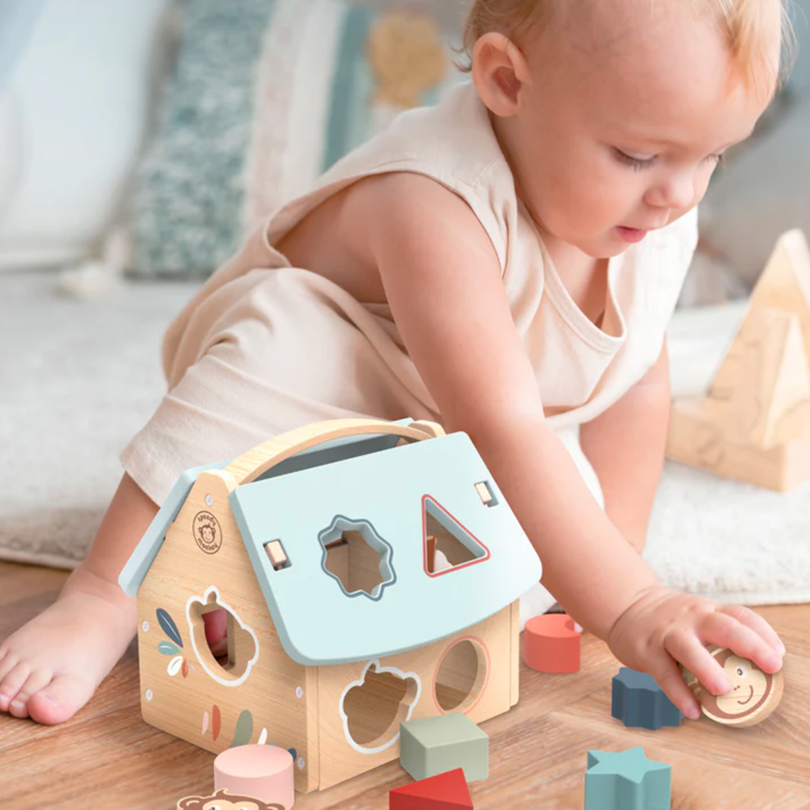 Speedy Monkey House Shape Sorter