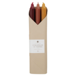 Autum Harvest Taper Candles Gift Pack
