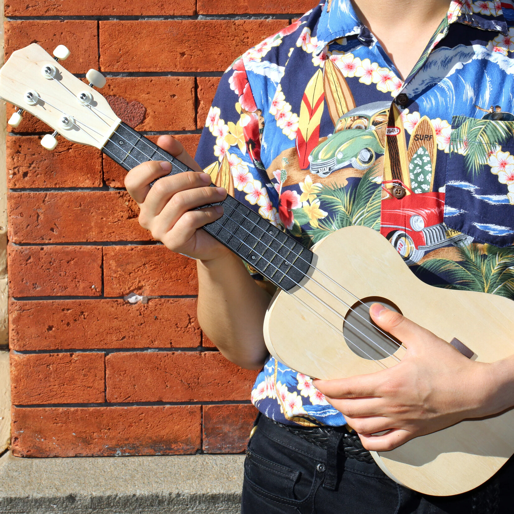 Make Your Own Ukelele