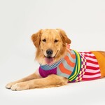 Verloop Pattern Patch Dog Sweater- Med Rainbow