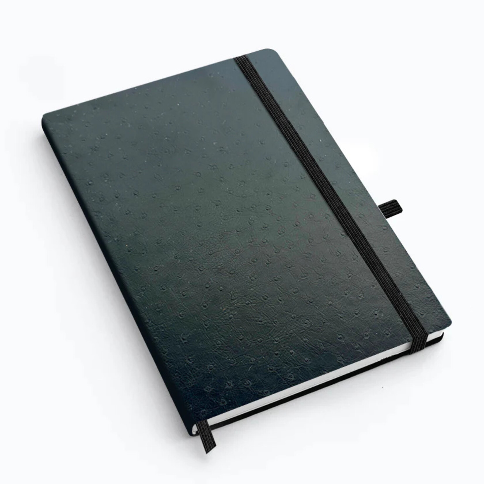 Blakey Ostrich Hide B5 Stone Journal- Black