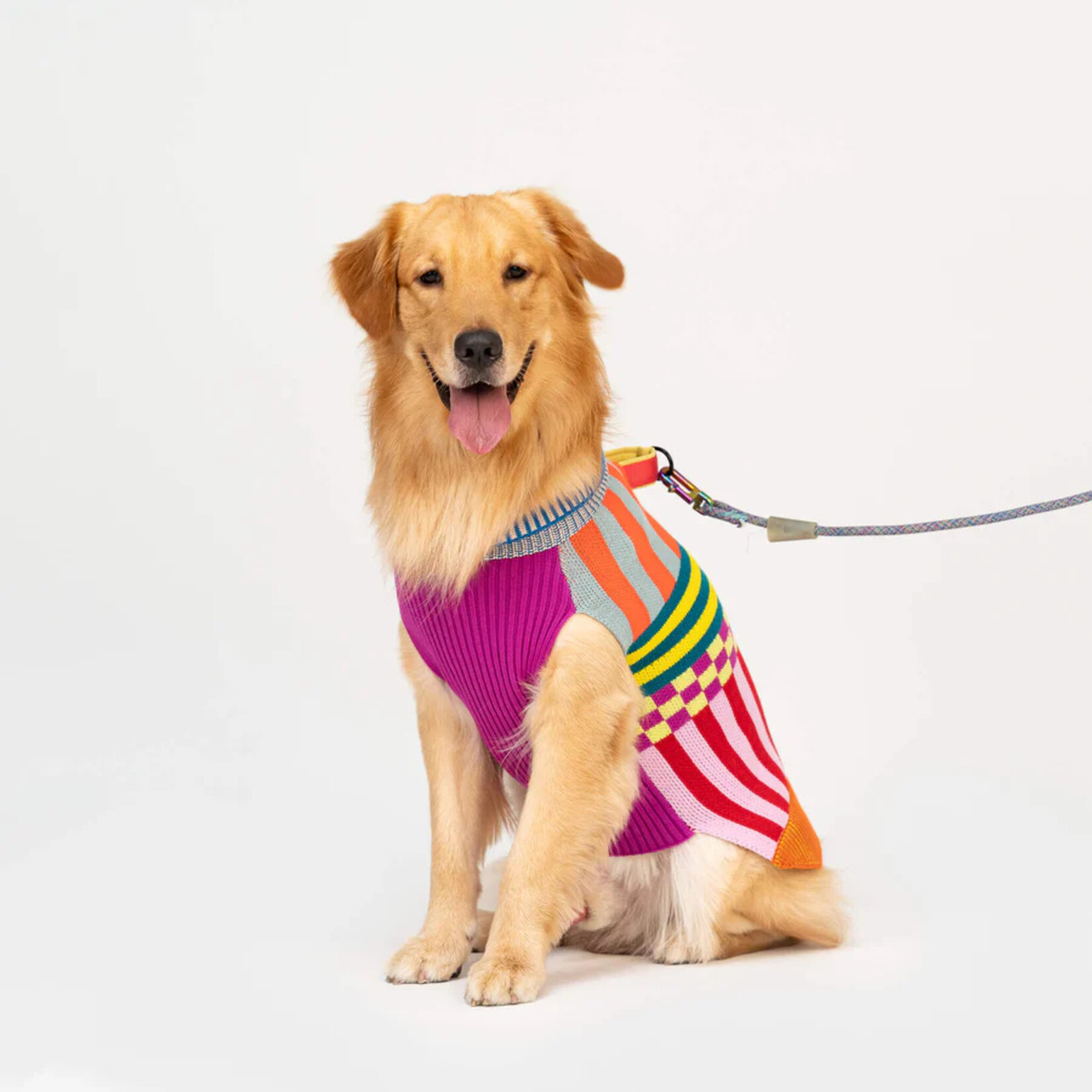 Verloop Pattern Patch Dog Sweater- Rainbow Small