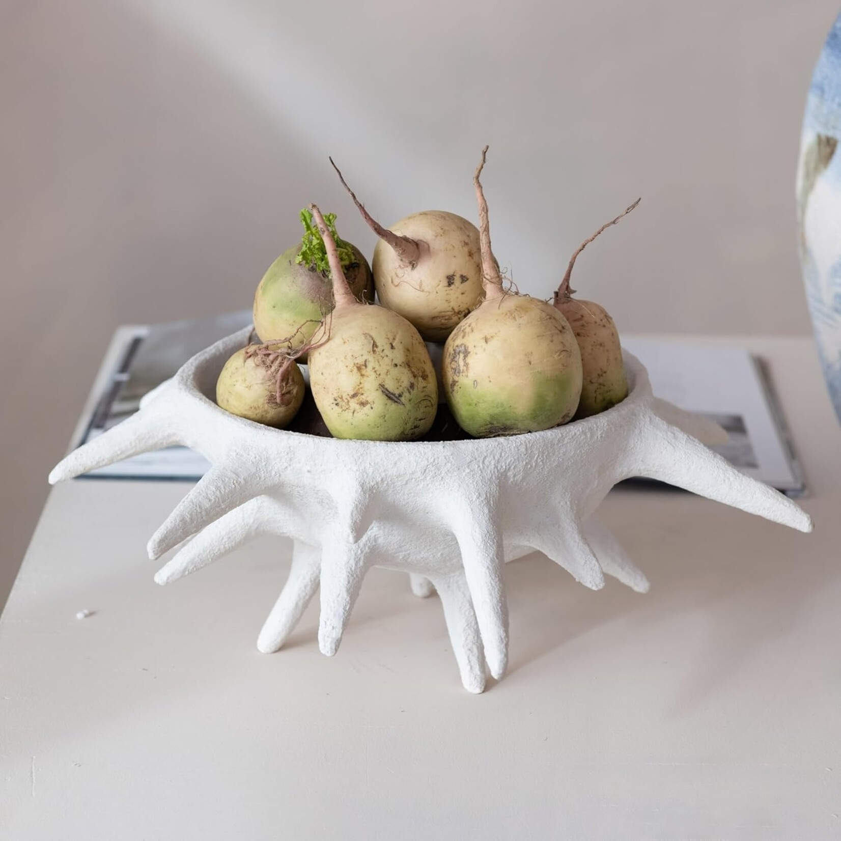 Coarse Resin Bowl w/ Spikes, Volcano Finish- Matte White