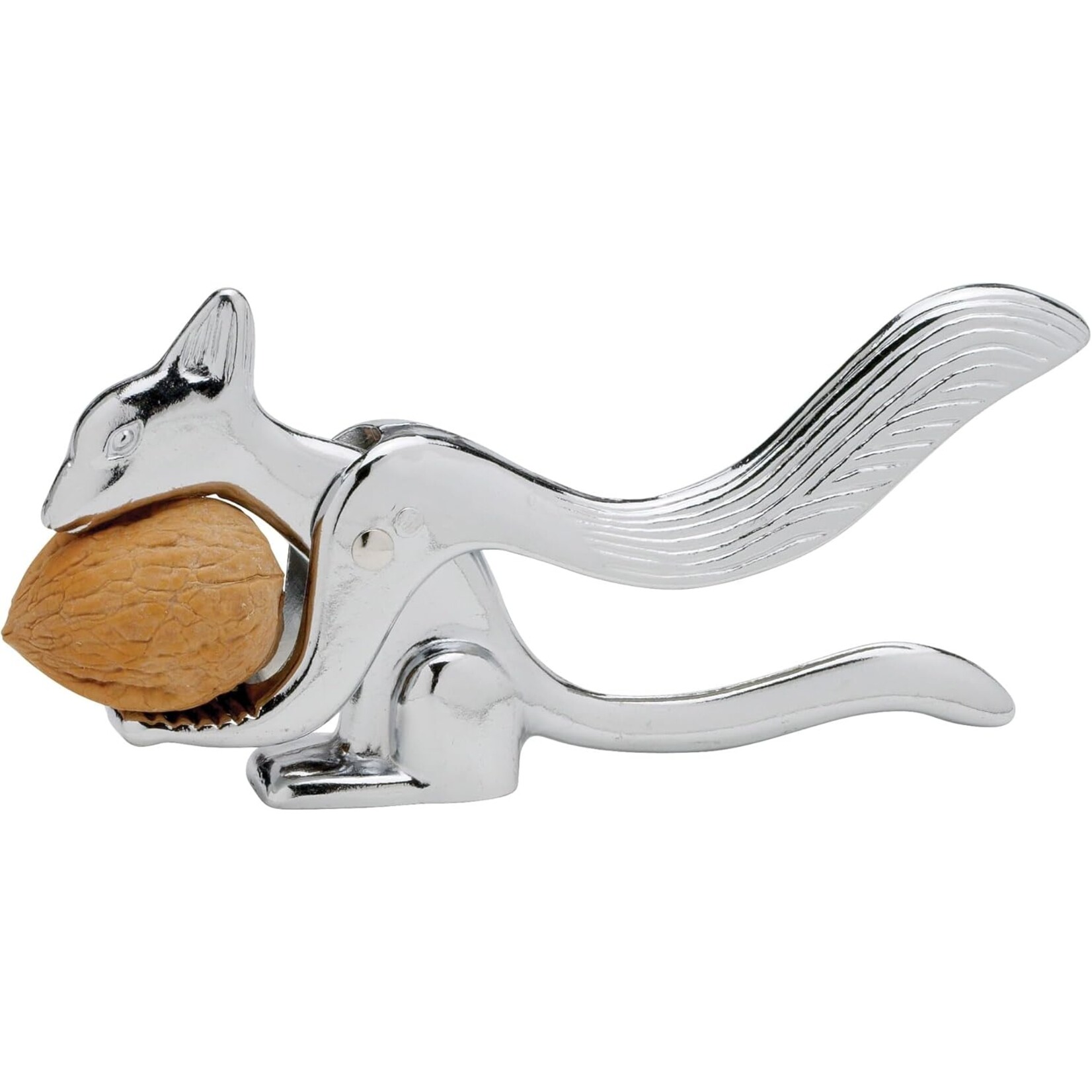 The Squirrel Nutcracker