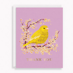 Paper Source Wholesale Floral Birds Thank You Card Box Set
