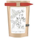 Kids Activity - Strawberry Garden in A Bag