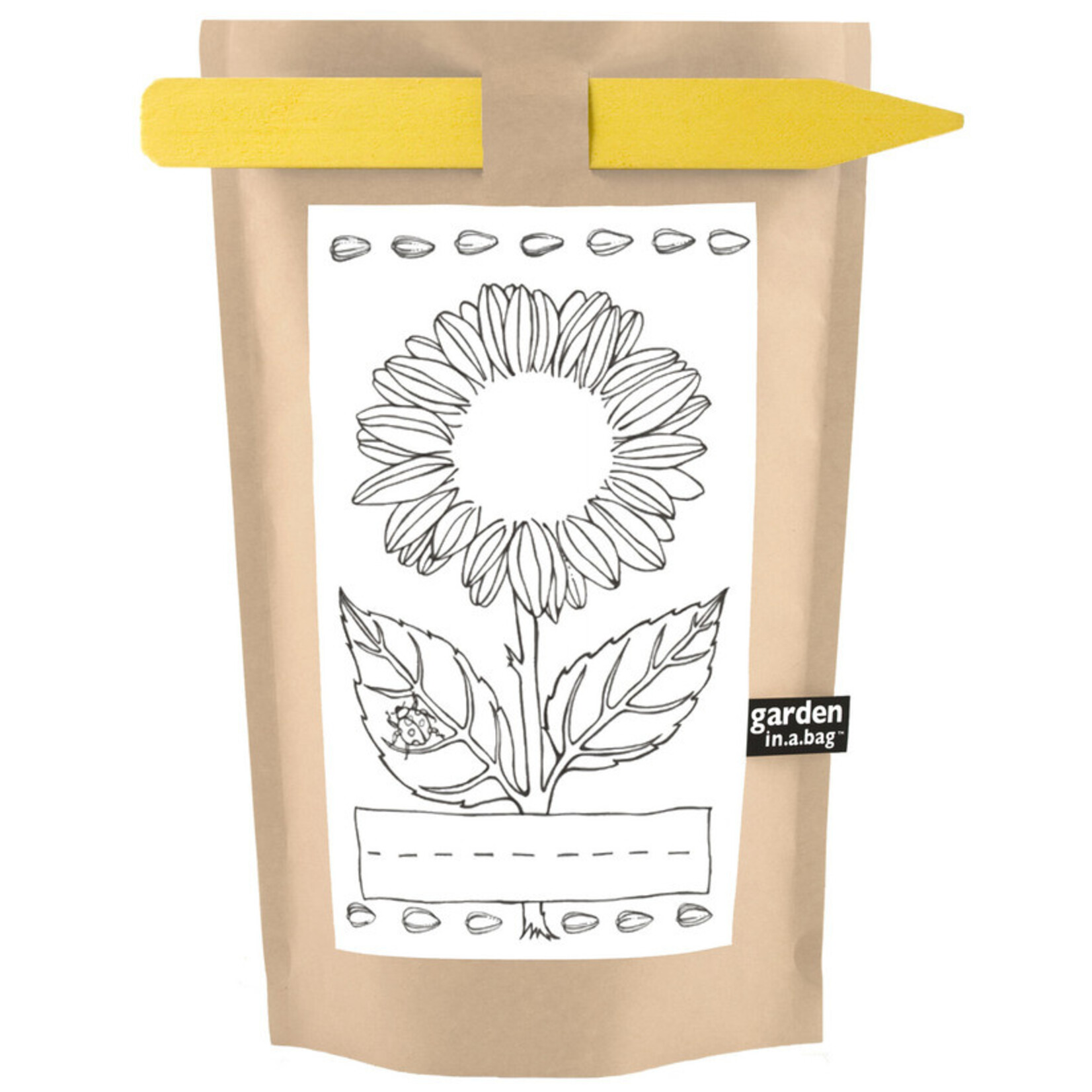 Kids Activity - Sunflower Garden in a Bag