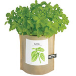 Basil Garden in a Bag