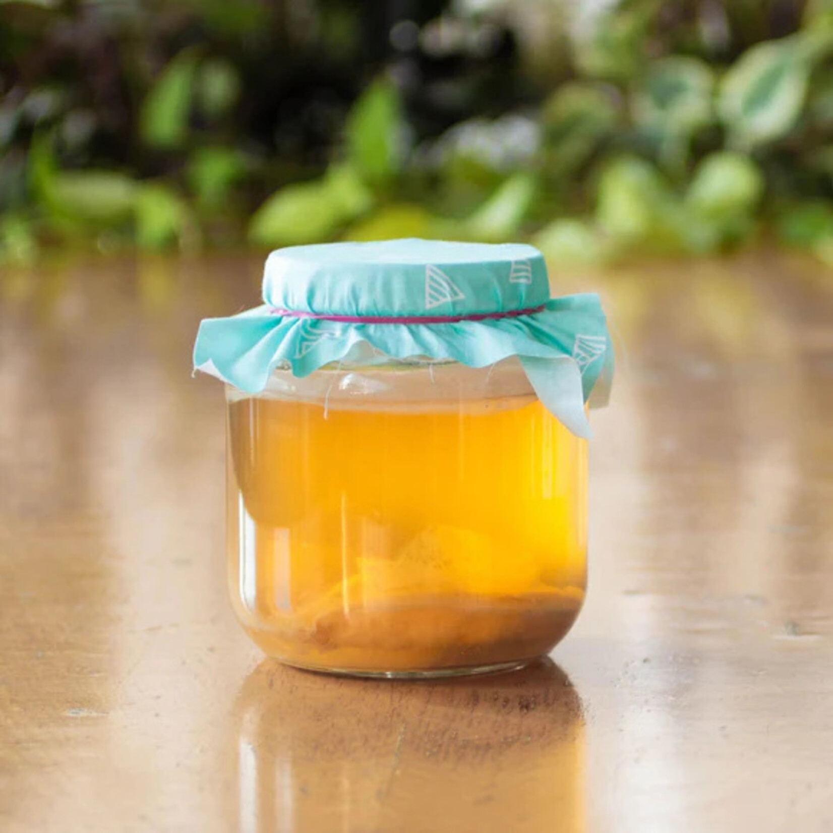Kombucha Making Kit