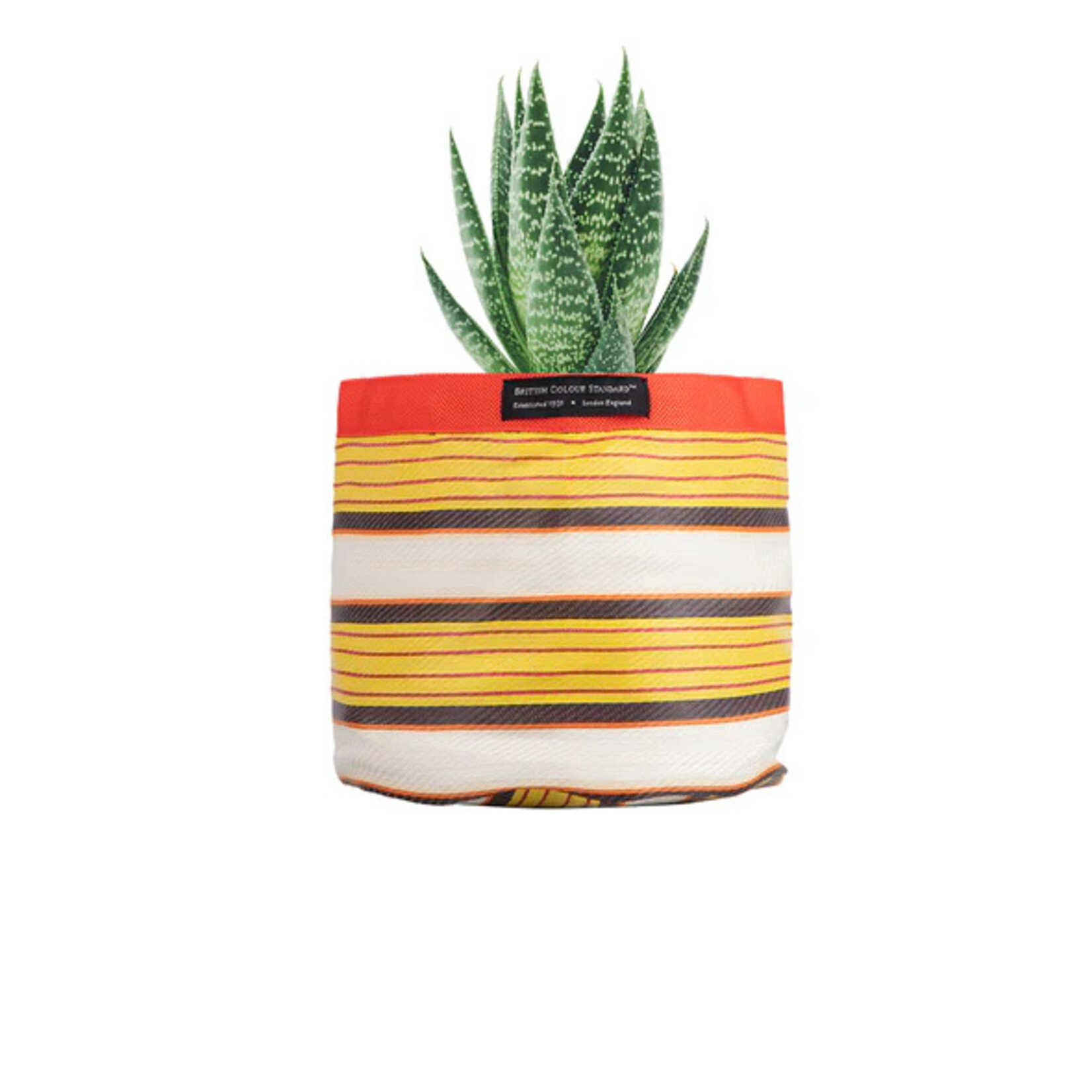 British Colour Standard Small Plant Pot Holder Recycled- Tuscan Yellow
