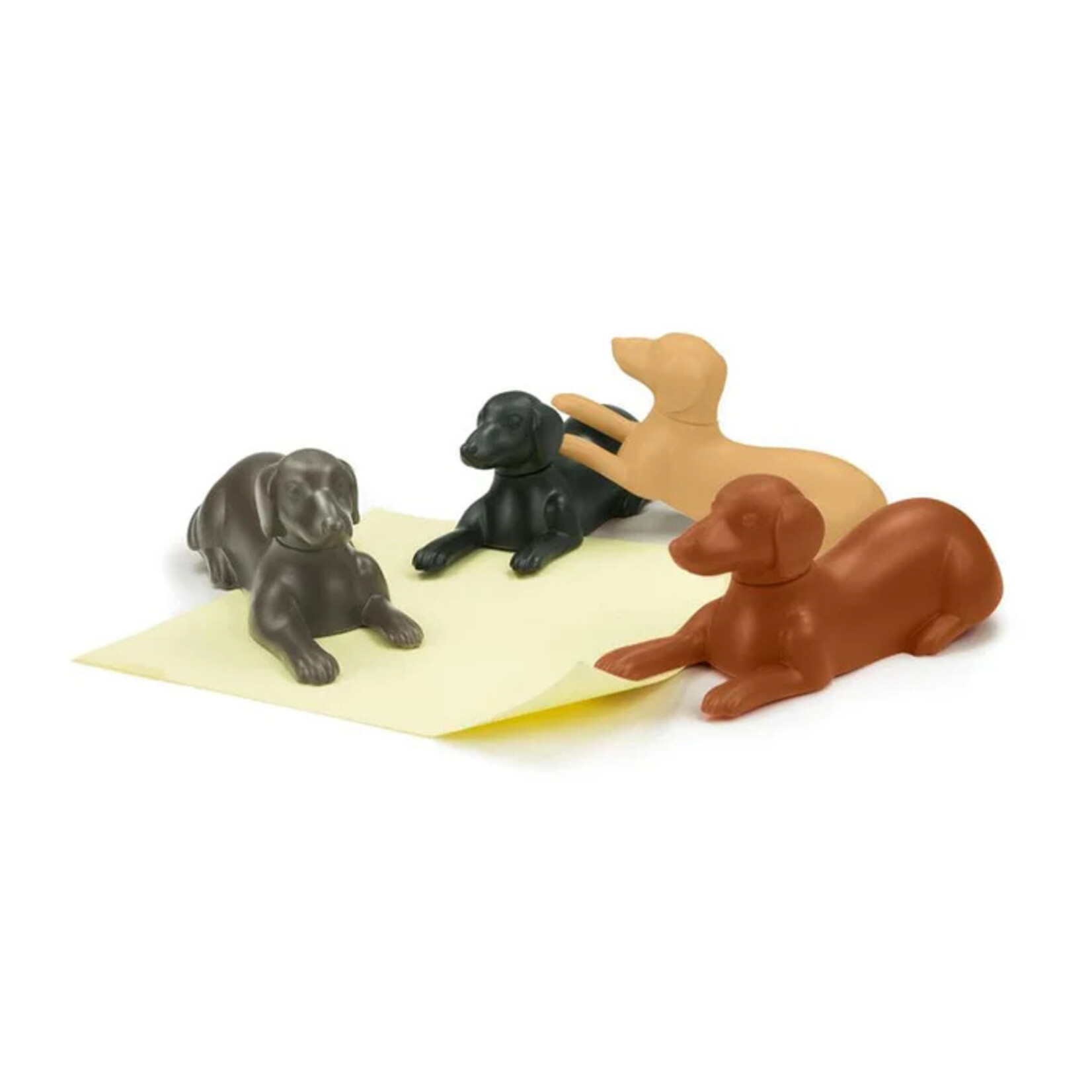Magnetipups