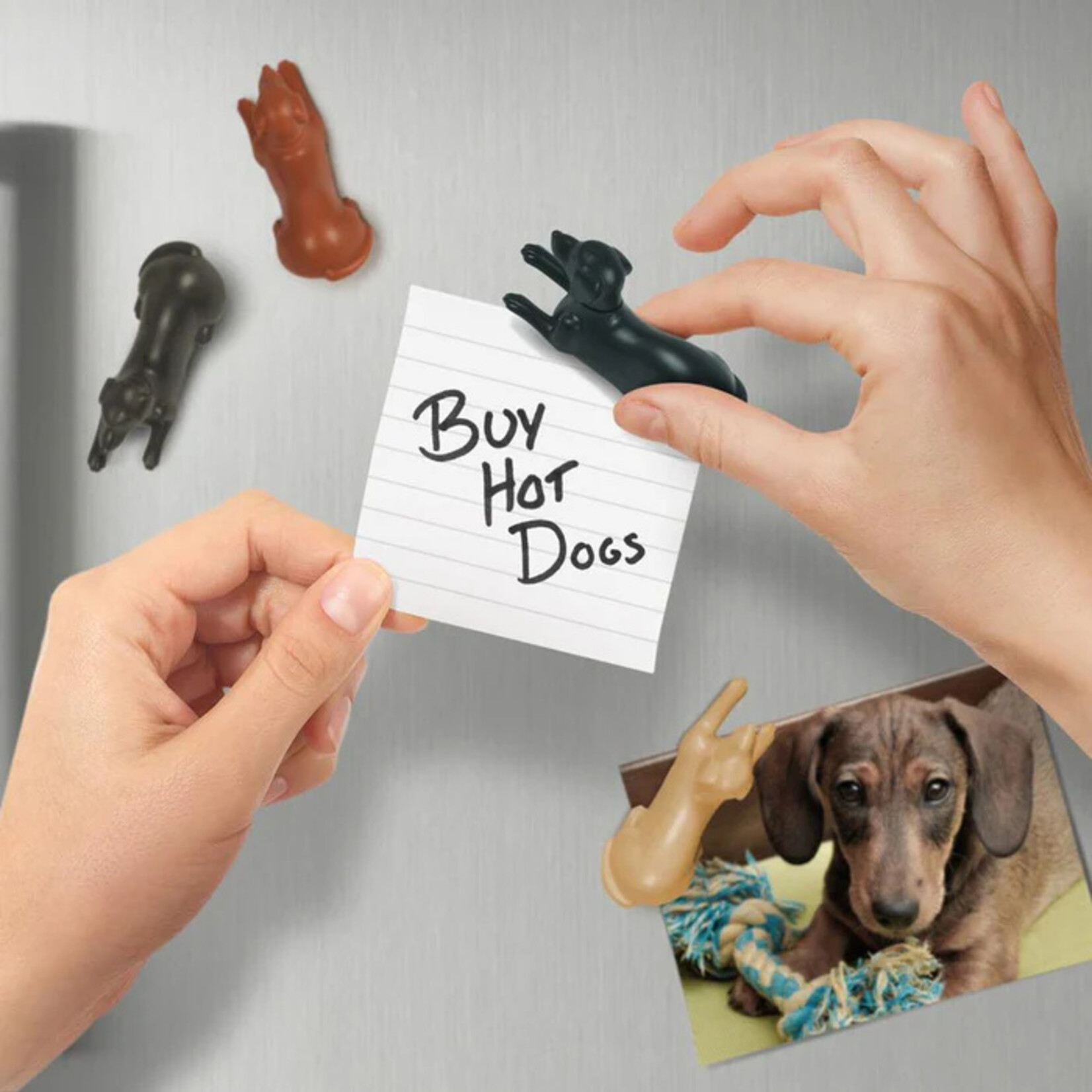 Magnetipups
