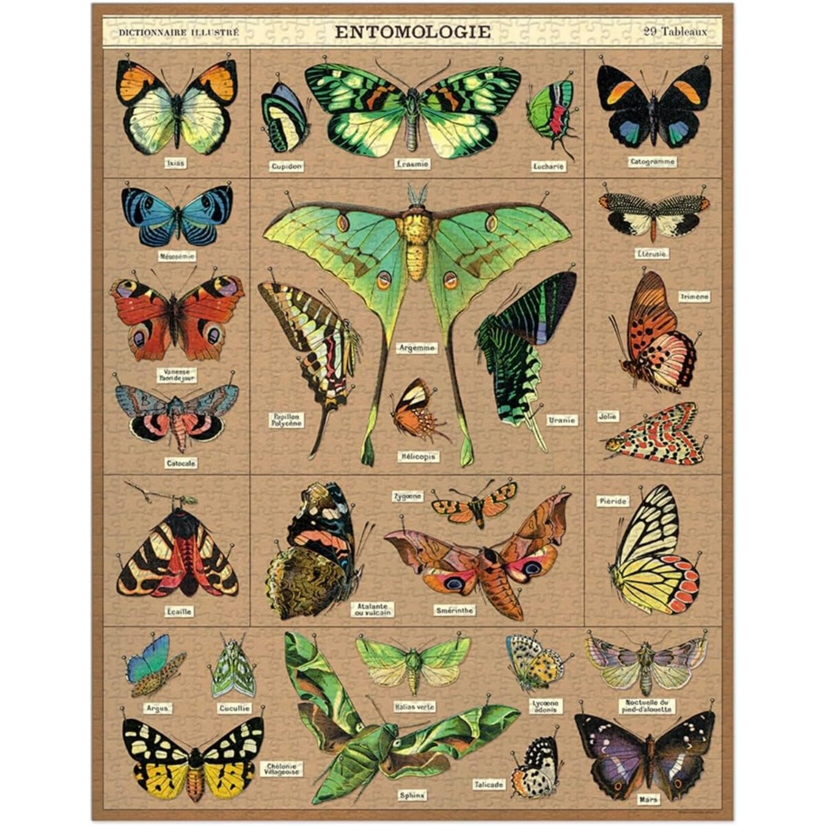 Cavallini Papers Entomology 1000pc Puzzle