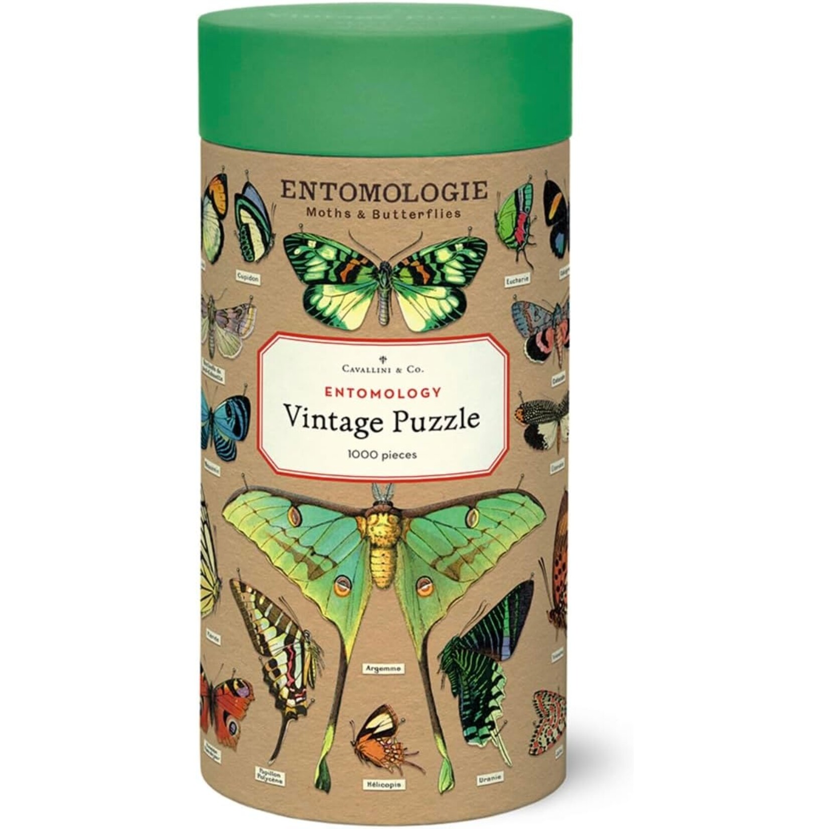 Cavallini Papers Entomology 1000 pc Puzzle