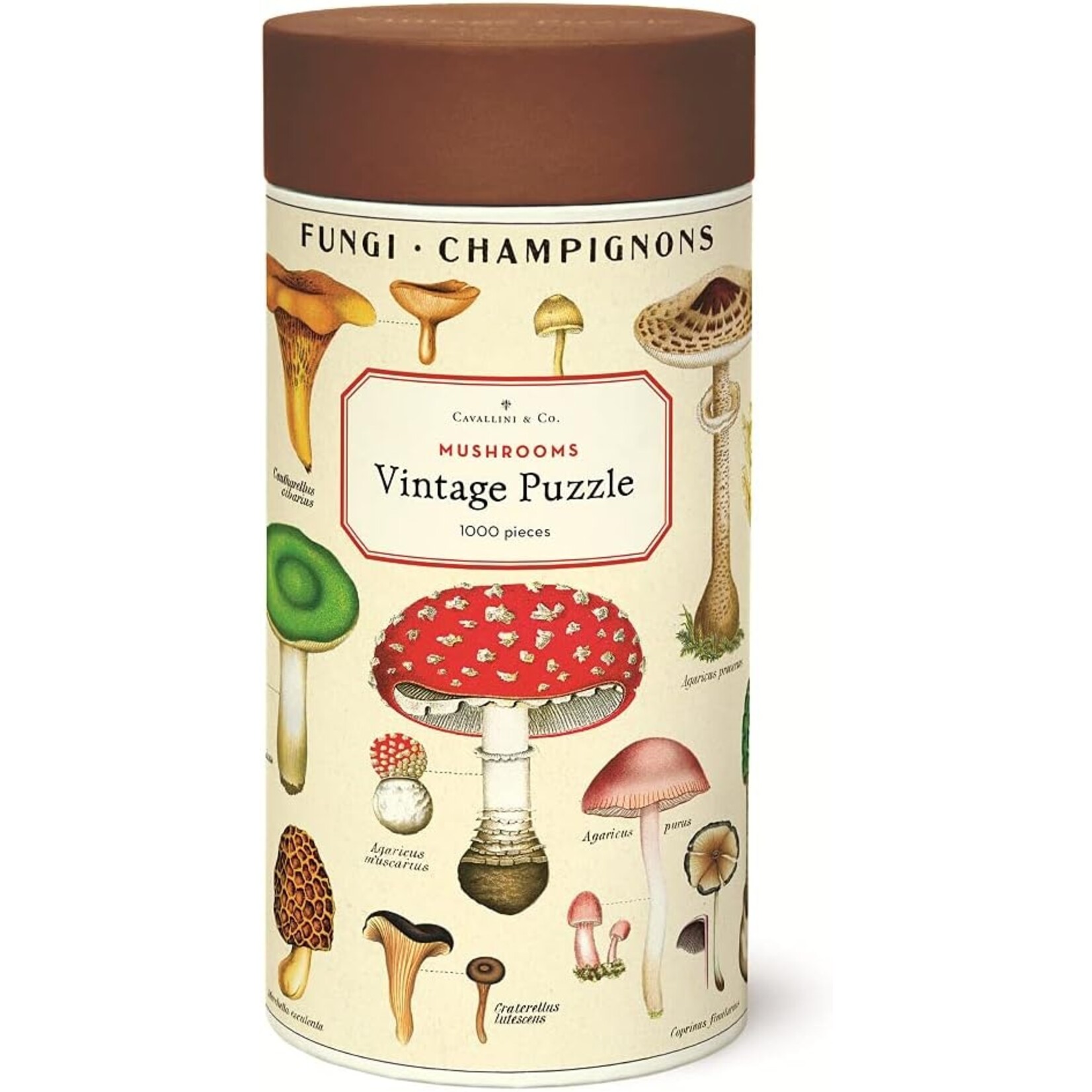 Cavallini Papers Mushroom 1000 pc Puzzle