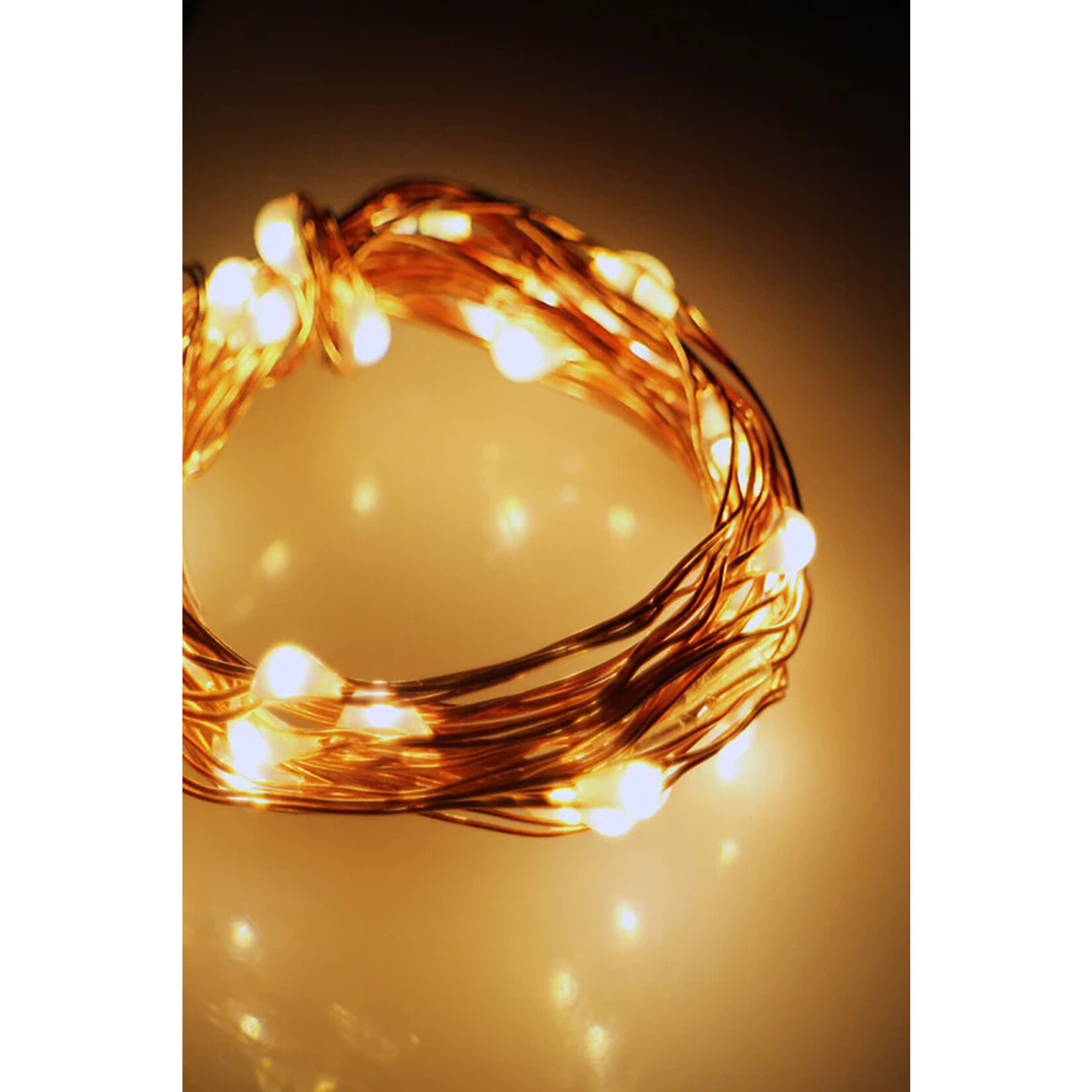 Perfect Holiday 30 LED Copper Fairy String Lights